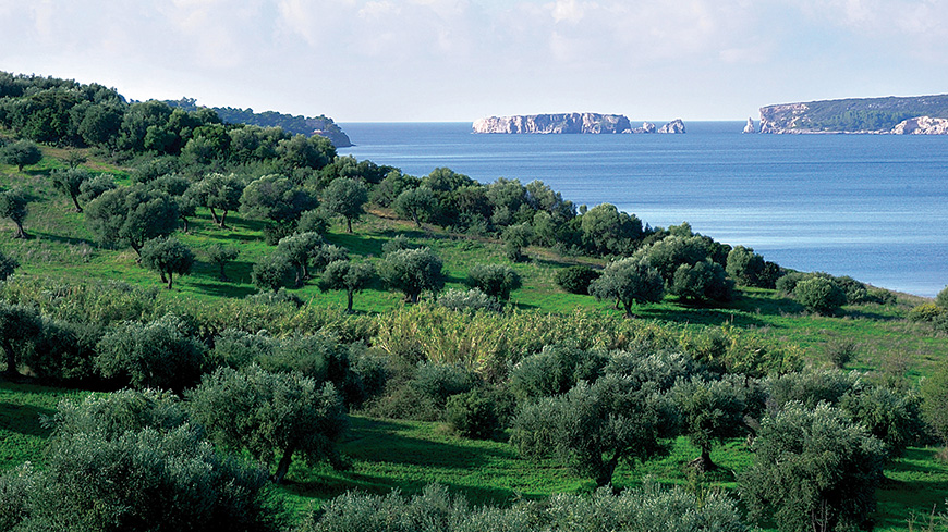 Routes de l’olivier